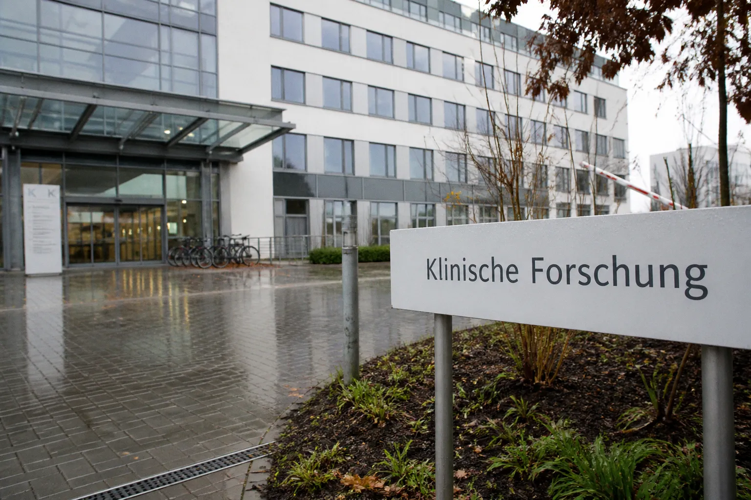 Atrium Therapeutics startet klinische Studie zu PRKAG2-Syndrom mit siRNA-Therapie