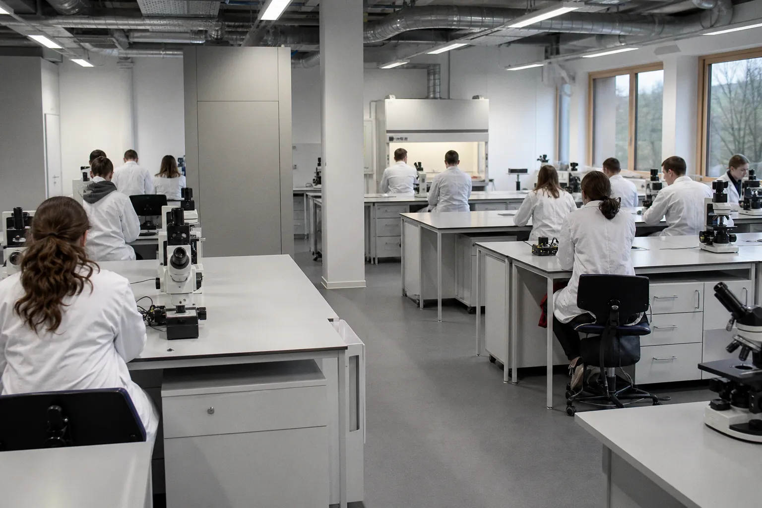 Eine weitere Universität eröffnet eine Fakultät für Medizin und Pharmazie.